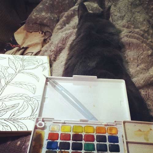 Drawing tonight with my furry friend