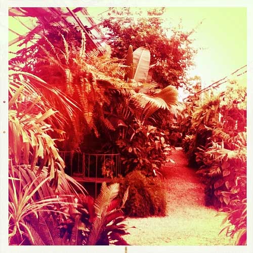 Visit to my local nursery