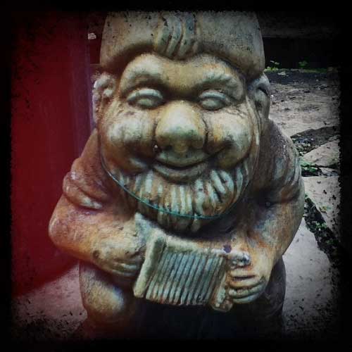 Visit to my local nursery