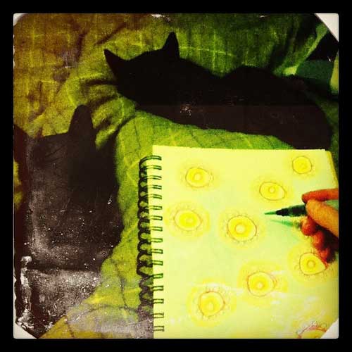 Taken & altered in Cameramatic