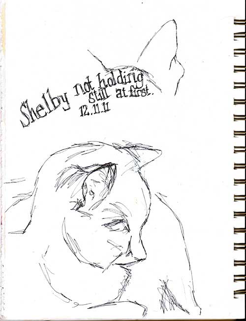 12.11.11 sketch of Shelby