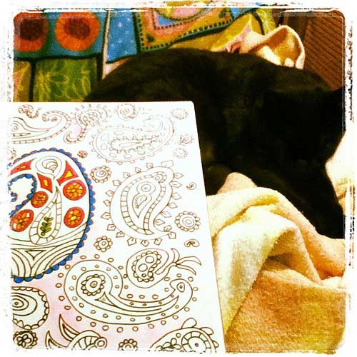 Sleeping Goliath while I'm coloring