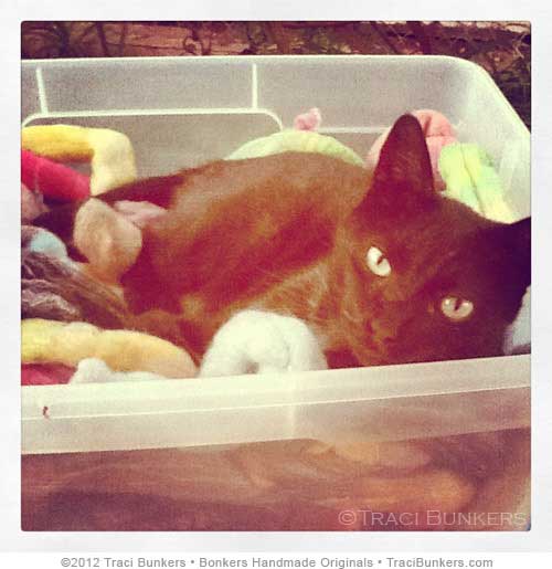 TraciBunkers.com - Goliath cozy in some spinning fiber TraciBunkers.com - Goliath cozy in some spinning fiber